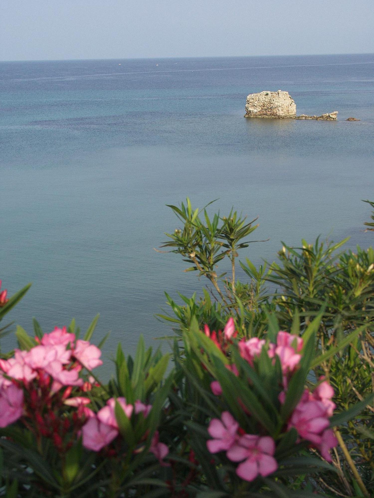 Seaview Aparthotel Nea Poteidaia Exterior photo